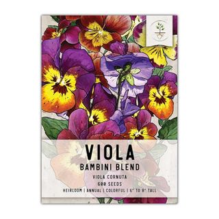 viola 'Bambini Blend' seeds from Seed Needs on white background