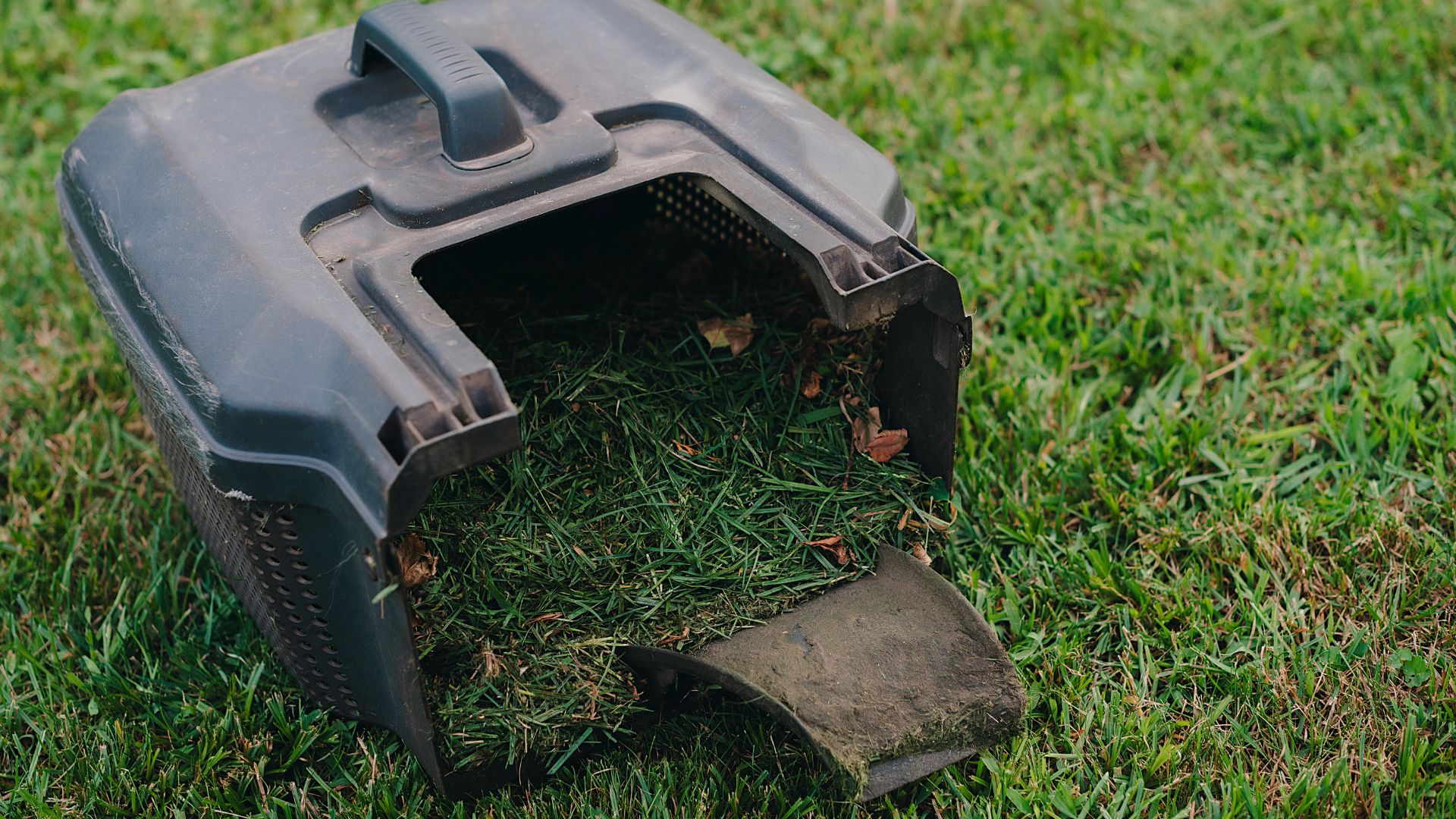 picture of lawn mower box filled with cut grass