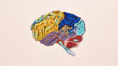 Craft project representing the brain