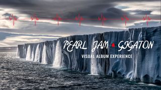 Pearl Jam Gigaton Experience Head