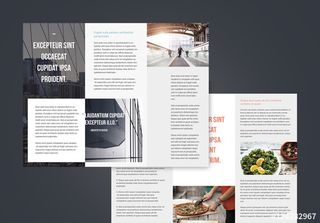 Trifold Brochures