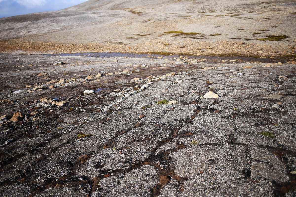 Svalbard permafrost