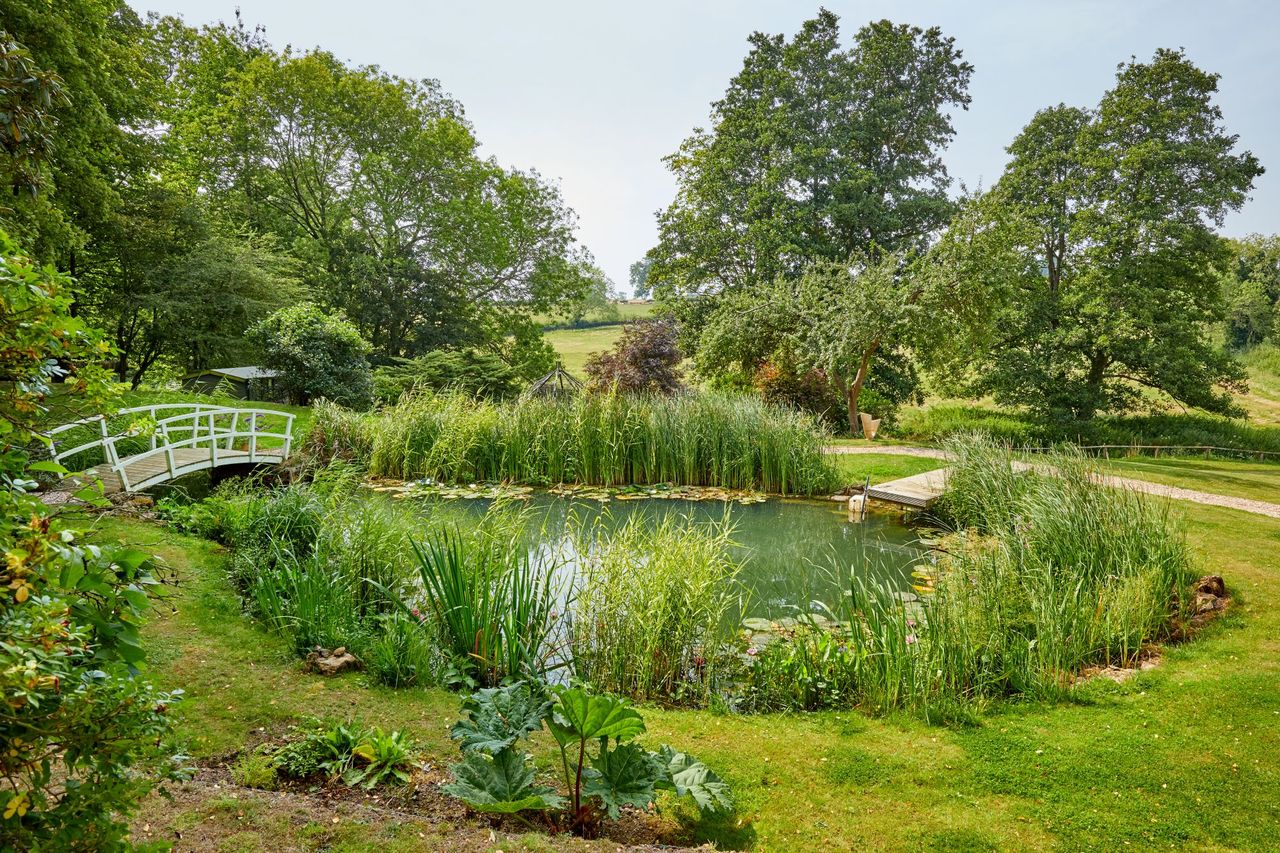 Pond in the garden with a small bridge and is surrounded by grass and wild plants