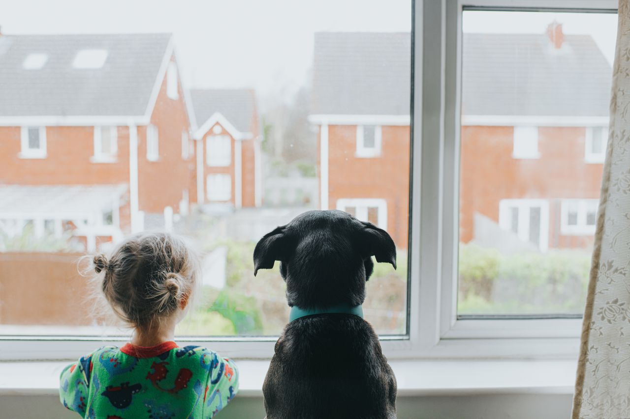 child and dog looking out the window