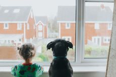 child and dog looking out the window