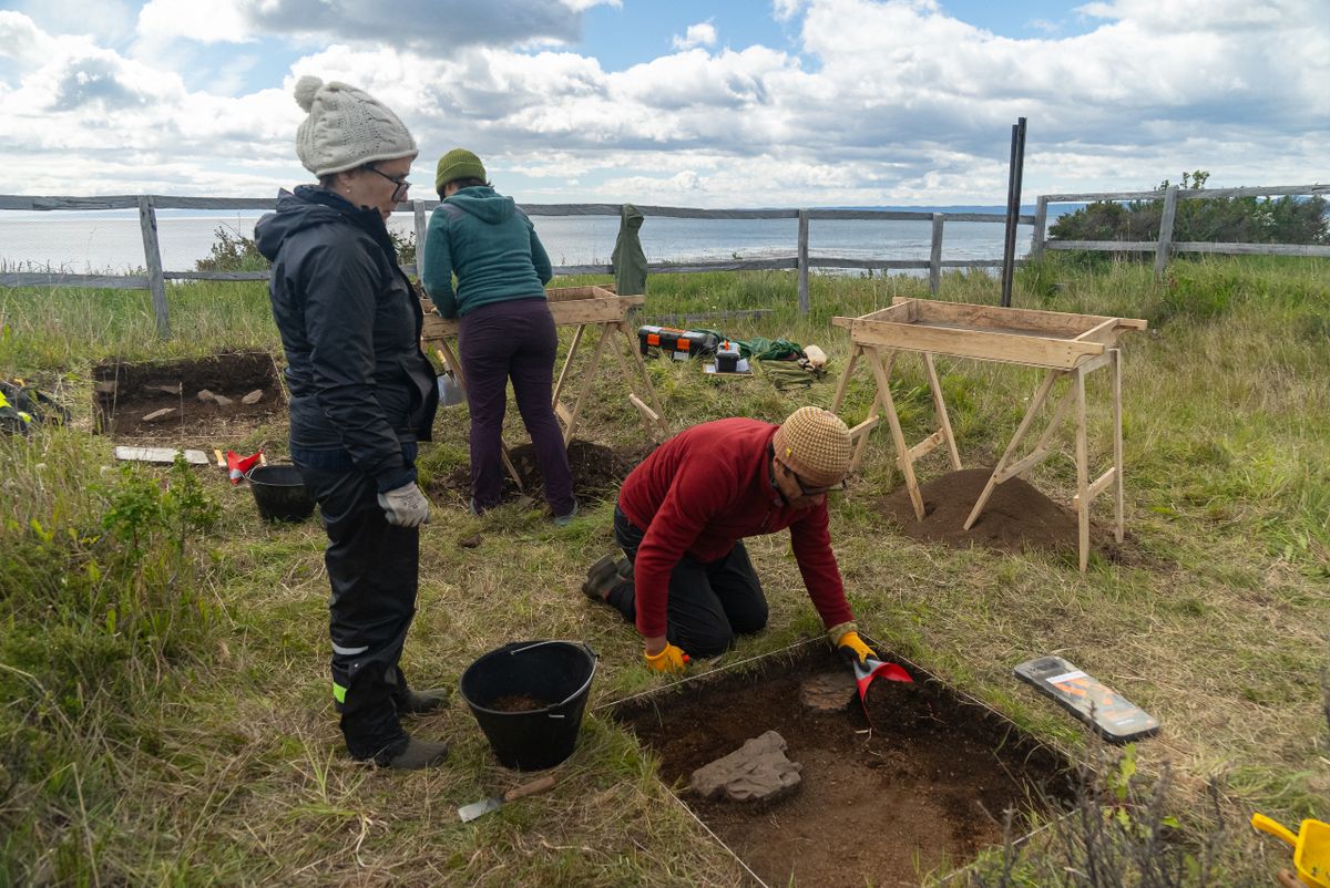 Images from a recent study that unearthed a silver coin