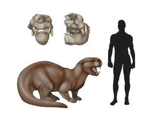 prehistoric mammals