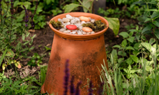 Bee watering station in flower bed
