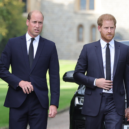 Prince William and Prince Harry are set to reunite a lot sooner than expected