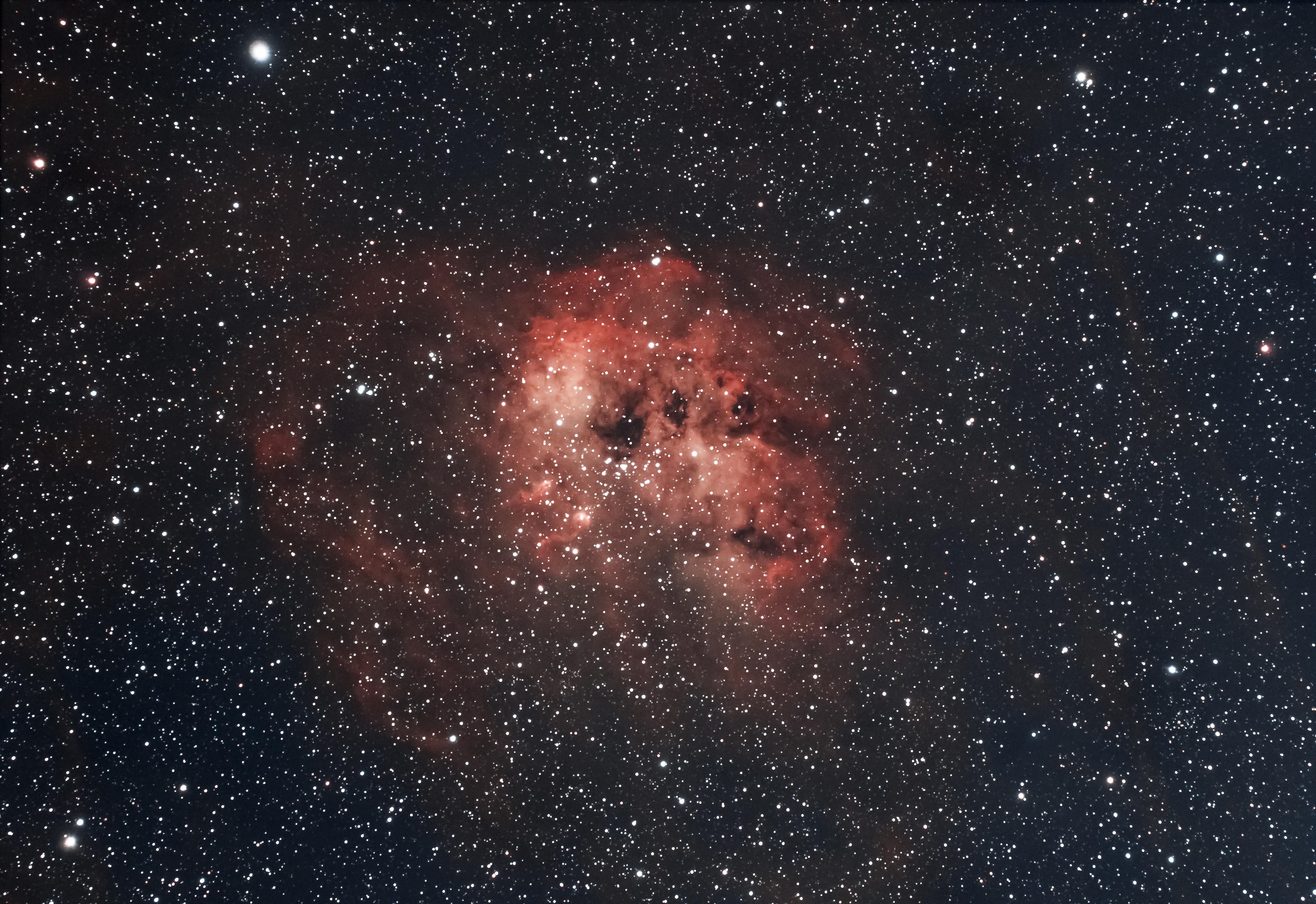 The tadpole nebula IC 410 in the constellation Auriga