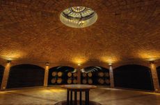 Cupula-Bodega-Valentin-Bianchi-San-Rafael-Mendoza.jpg