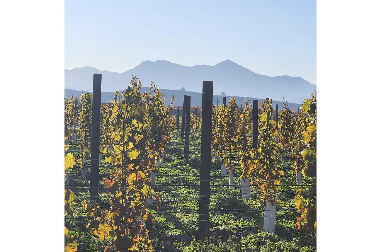 Future Posts at Lawson's Dry Hills