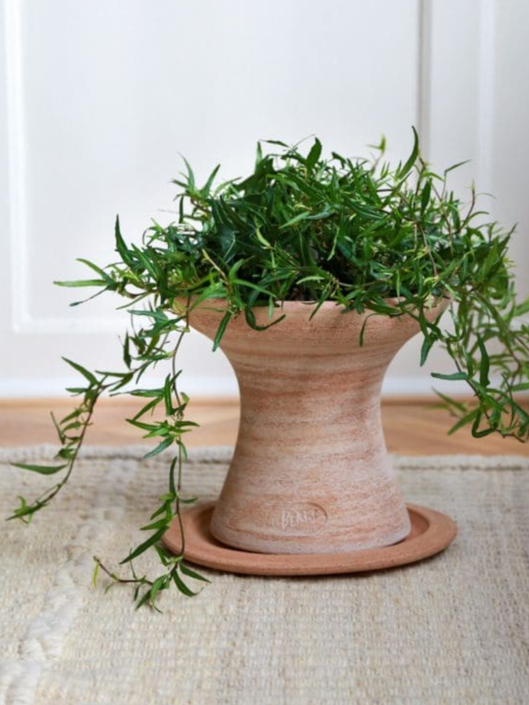 A terracotta planter with a saucer from Bergs Potter
