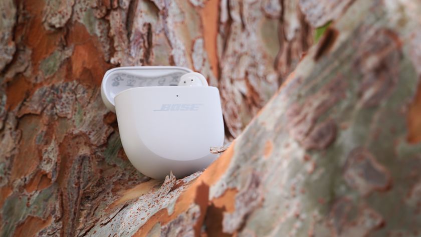 The Bose QuietComfort Ultra Gen 2 earbuds in their case in a tree.