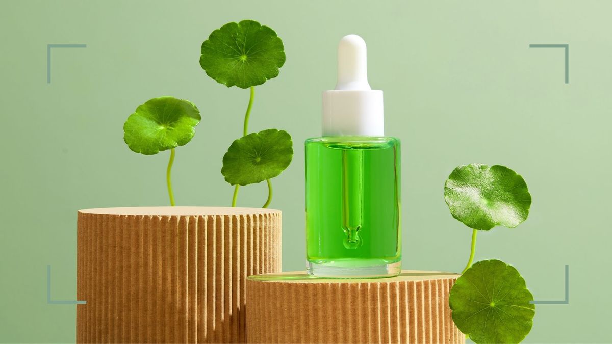 What is Centella Asiatica and how does it benefit your skin?