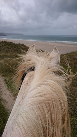 Dunes training