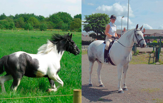 &ldquo;This is Lucas, my eight-year old Percheron x warmblood, maxi cob. The first photo is the week I bought him at 11-months-old, and the second was taken last summer winning our first ever dressage competition. He doesn&rsquo;t look like the same horse. Some of my non-horsey friends have asked if I sold the first one and bought another!&rdquo; &mdash; Laura Bowdler
