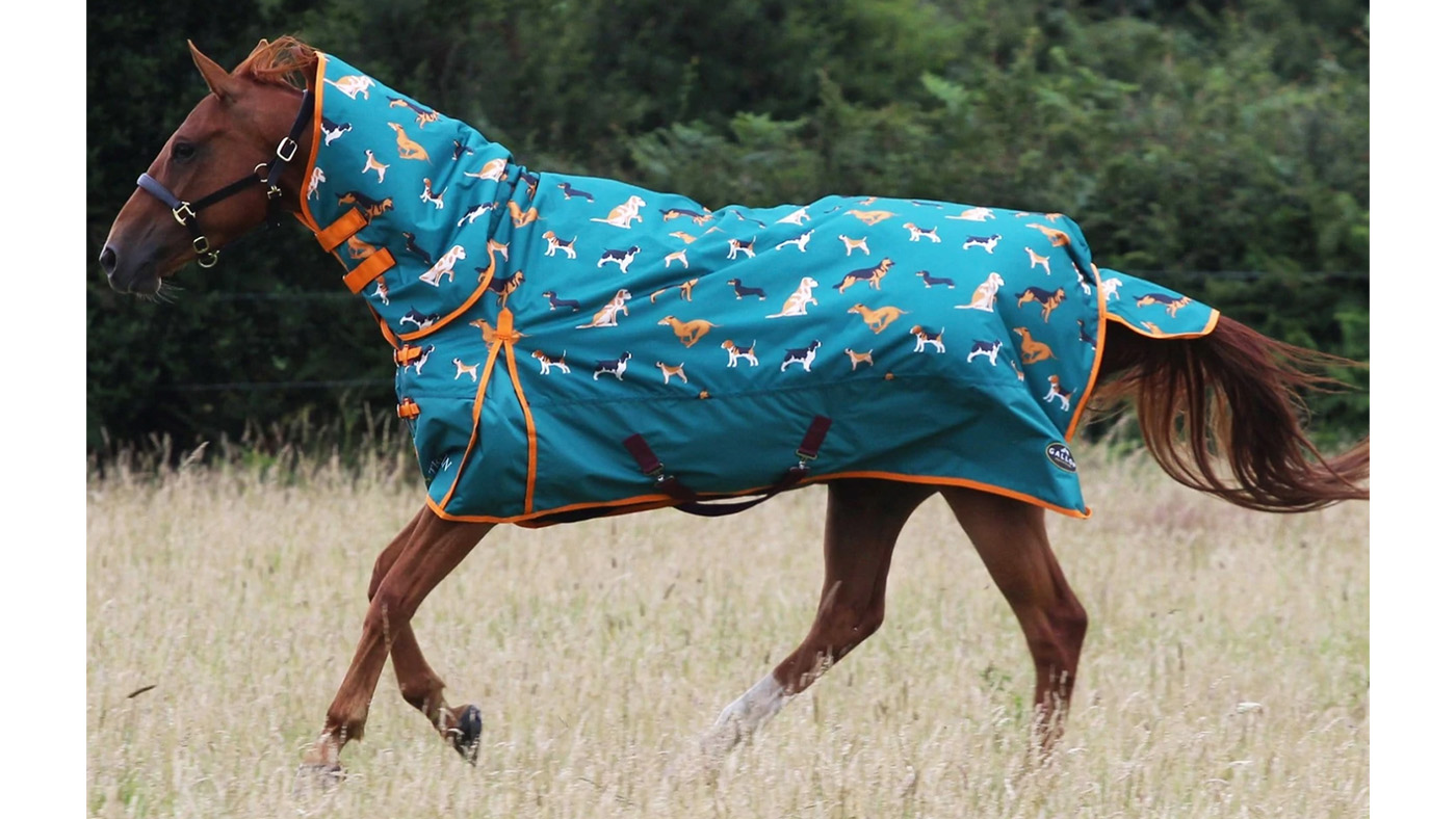 Gallop Dogs pattern horse rug