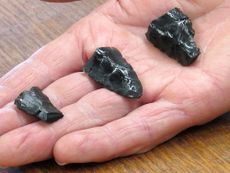 Displayed in the hand of University of Oregon archaeologist Dennis Jenkins are three bases for Western Stemmed projectiles from the Paisley Caves in Oregon. The bases date to some 13,000 years ago.