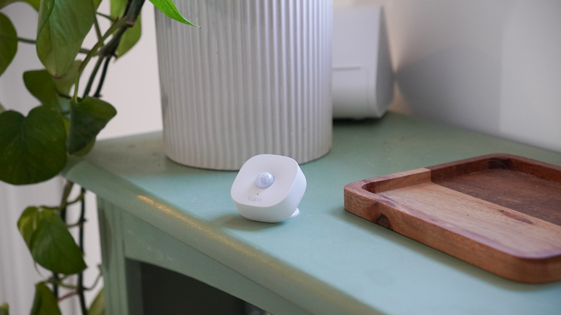 Tapo T100 motion detector