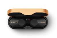 Sony WF-1000XM3 wireless earbuds: Was £220, now £169