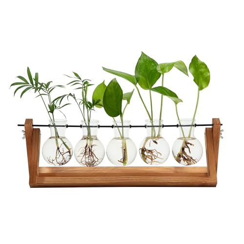 Hyindoor Propagation Station With Vintage Wooden Stand and Metal Rotating Rod for Hydroponics Plants Desktop Glass Planter Bulb Vase for Home Decoration(5 Bulb Vase)
