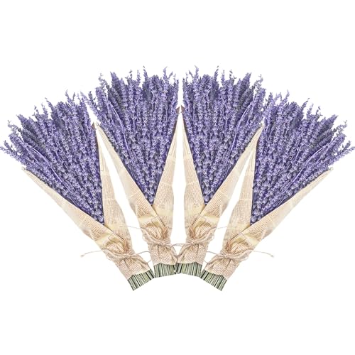 Dried Lavender Bundles, Uieke Natural Dried Lavender Flowers 280-300 Stems 16&amp;ldquo; for Home Weeding Decoration Flower Arrangements Photo Props Home Fragrance 4 Bundles