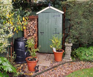 English back garden in Autumn with shed and log store