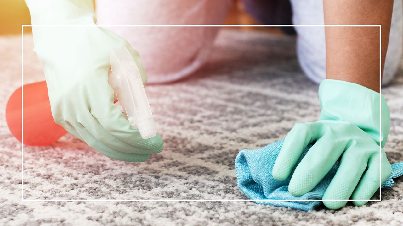 woman cleaning carpet in marigolds