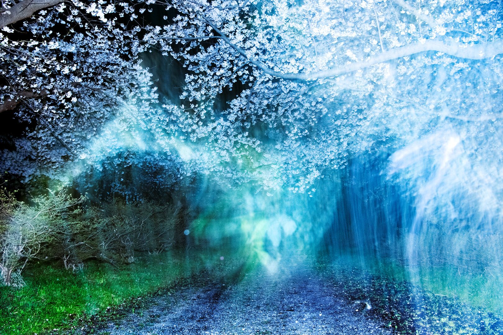 How do you photograph history that people would rather forget, or grief that has no shape? Two Japanese photographers give very different answers