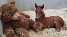 Ava-and-teddy-bear-copy.jpg