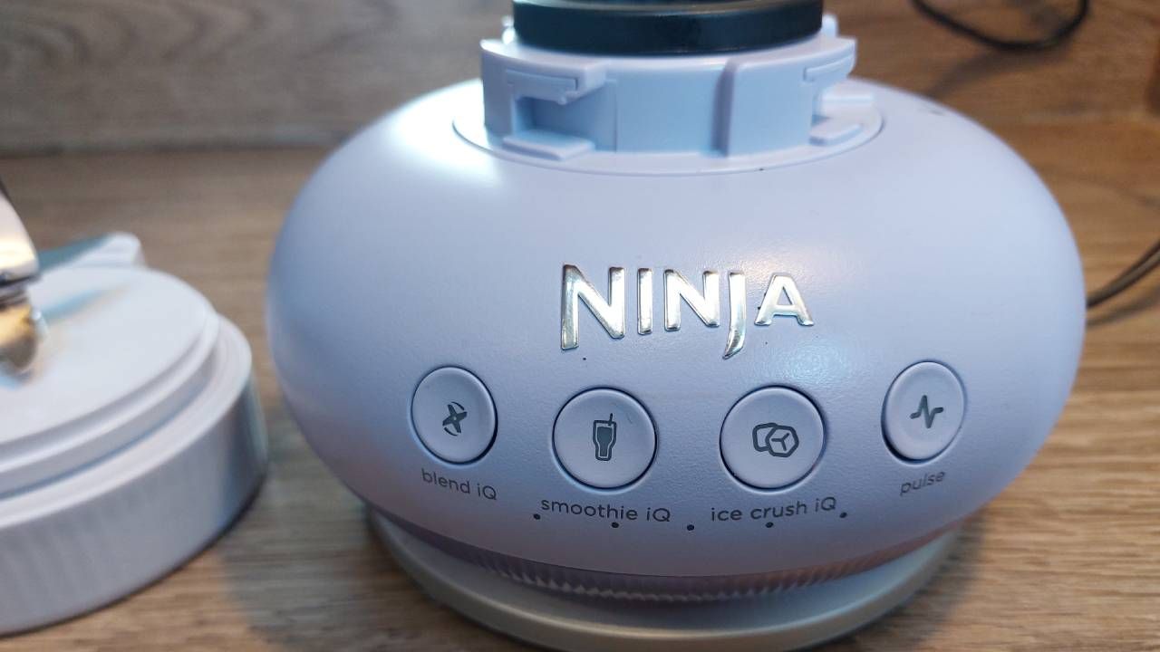 Ninja BlendBoss review