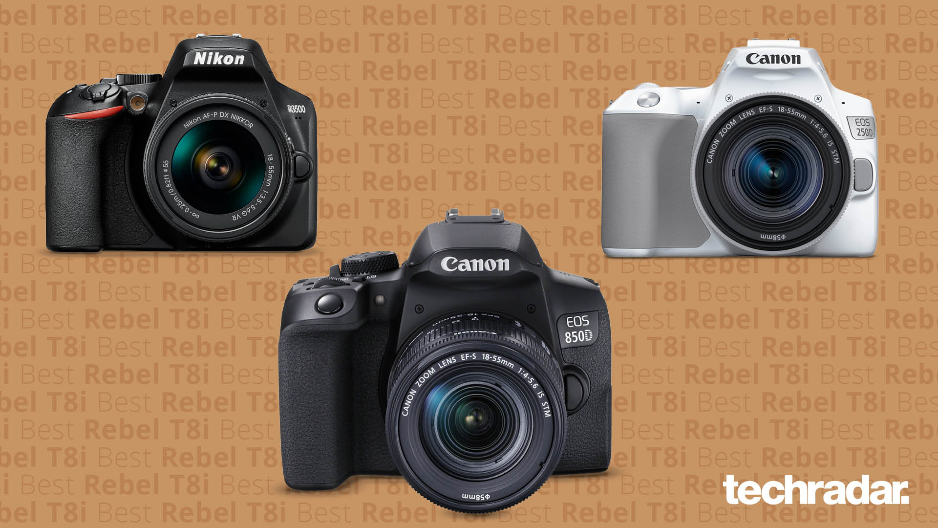 The best DSLR cameras you can buy in 2022