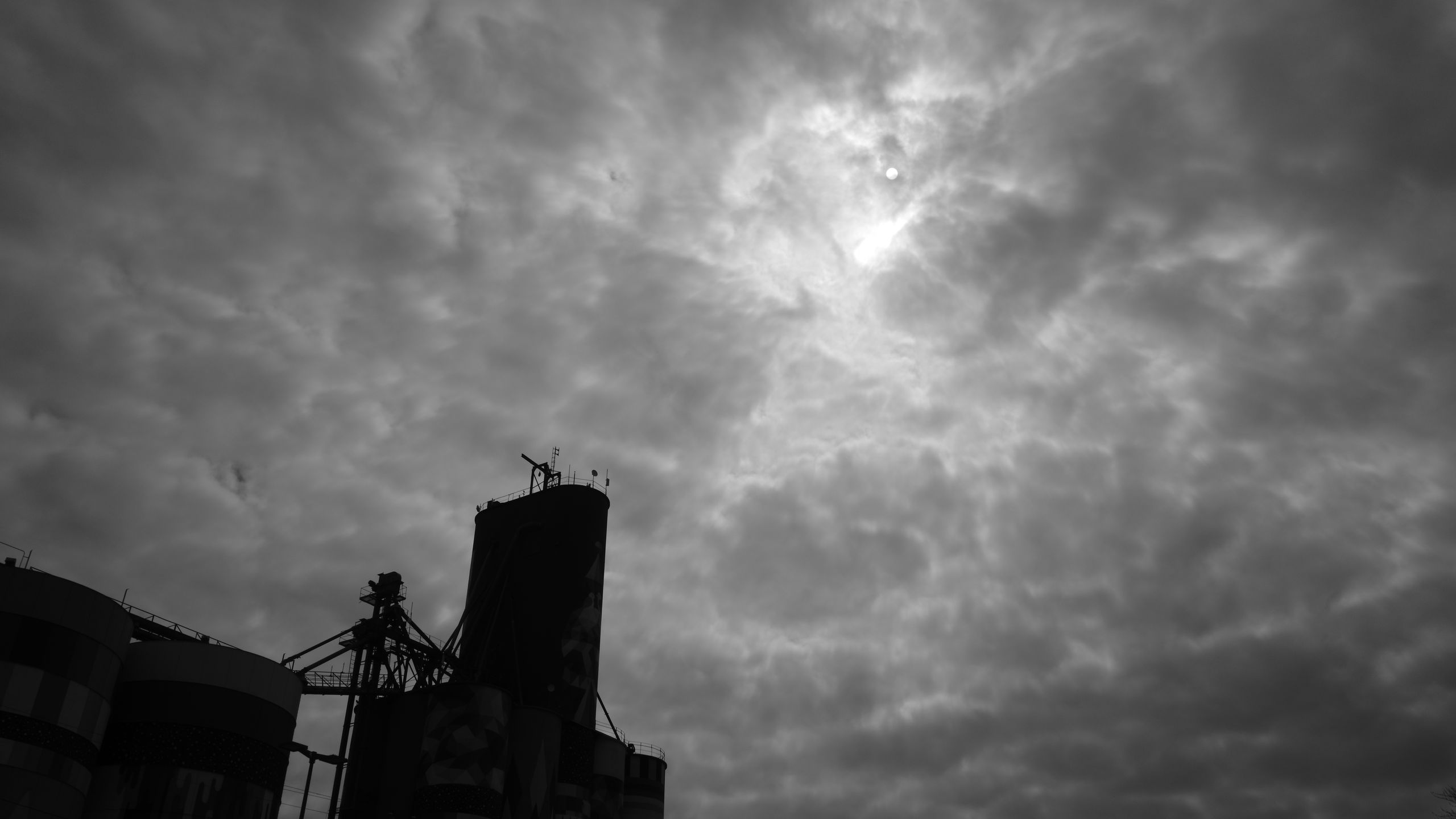 First Impressions of a Black-and-White Camera