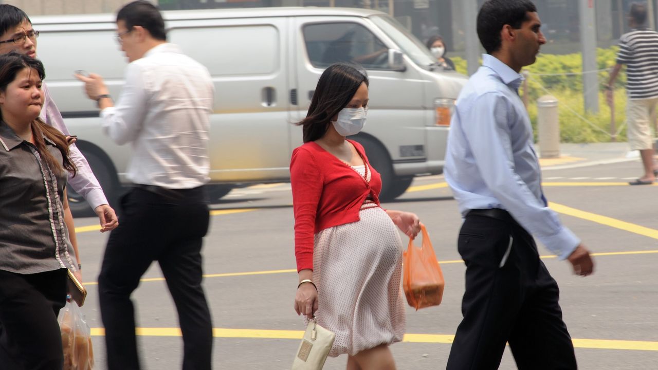 Even brief exposure to air pollution can push the placenta into an inflammatory state, lab study suggests
