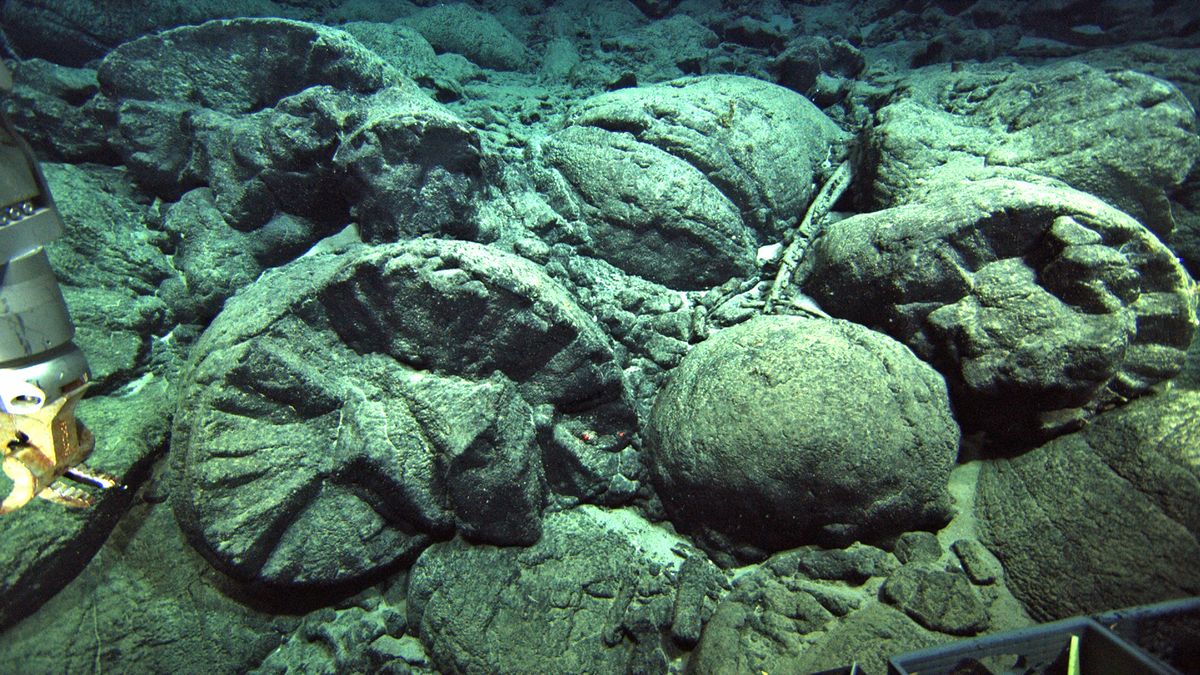 Ka&#039;ena pillow lava