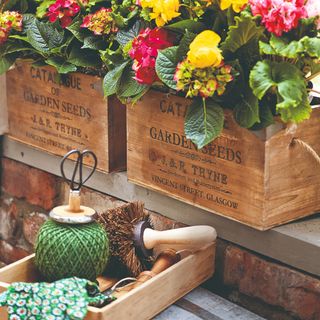 Wooden crate planters with flowering plants and gardening tools