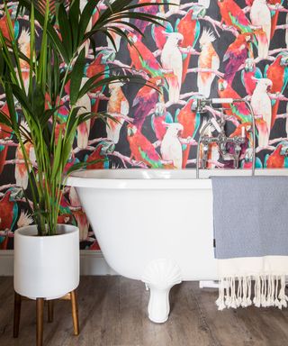 Clawfoot roll top freestanding bathtub on wooden floor next to a white pot plant with green leafy plant, and the wall behind with a colourful statement wallpaper with a selection of birds