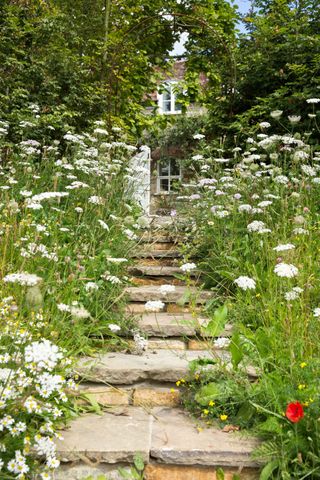 rustic steps in a cottage garden