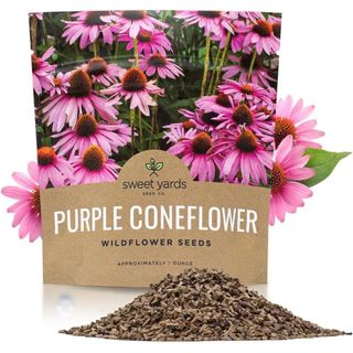 Purple Coneflower Seeds