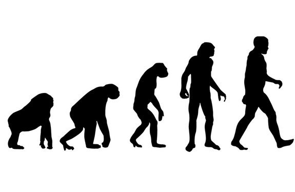 Darwinian evolution graphic