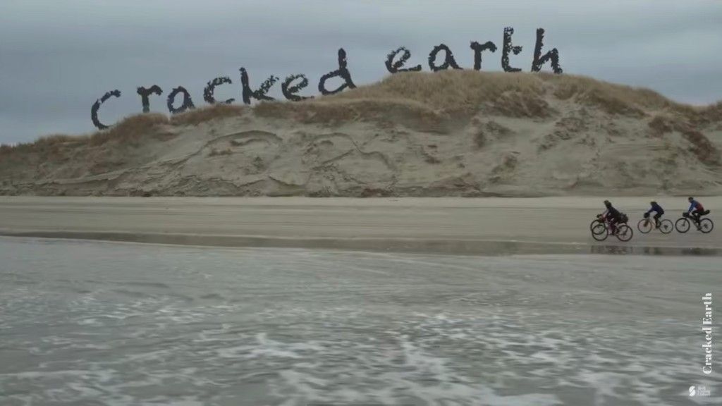 Cyclists riding a long a beach