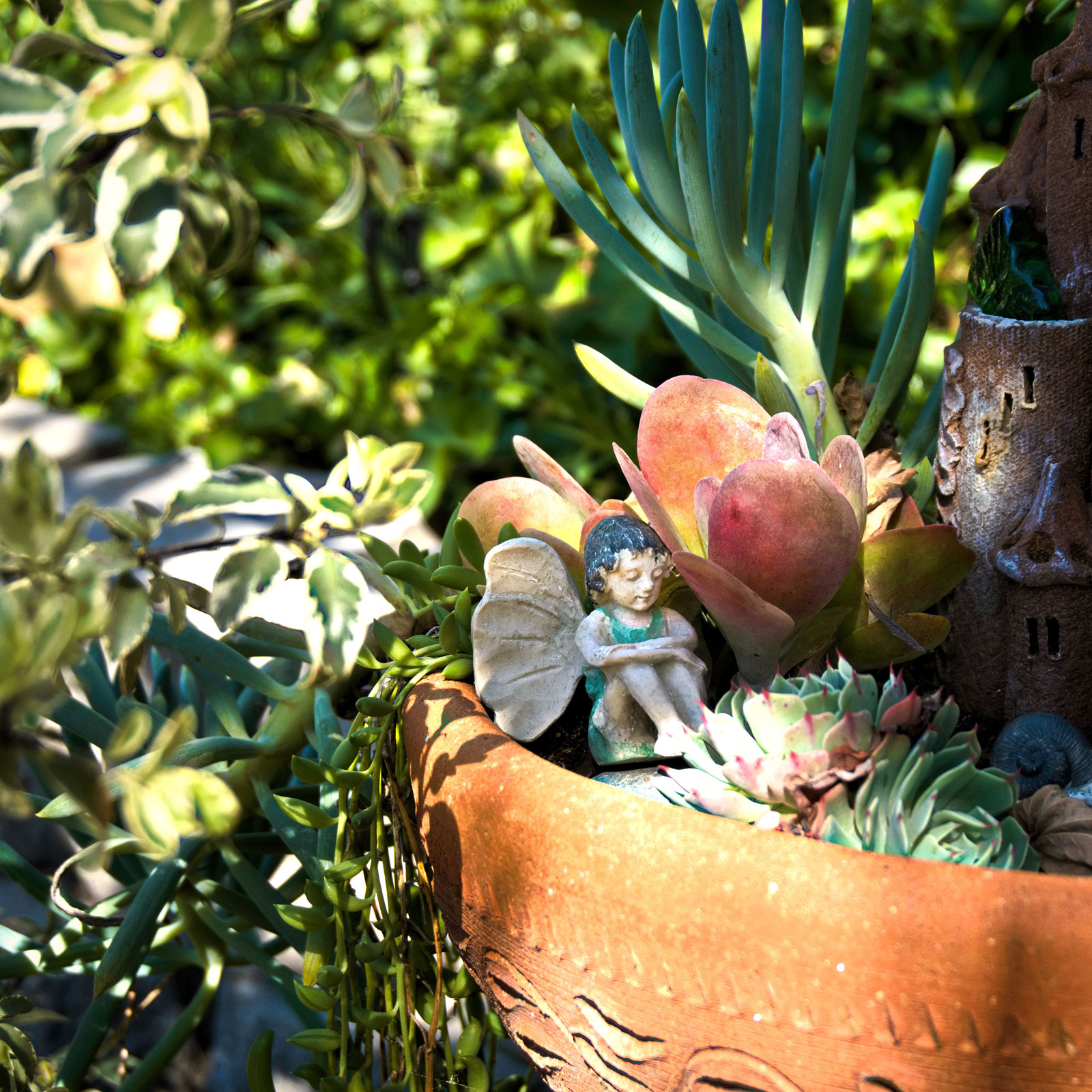 fairy garden container with fairy and plants