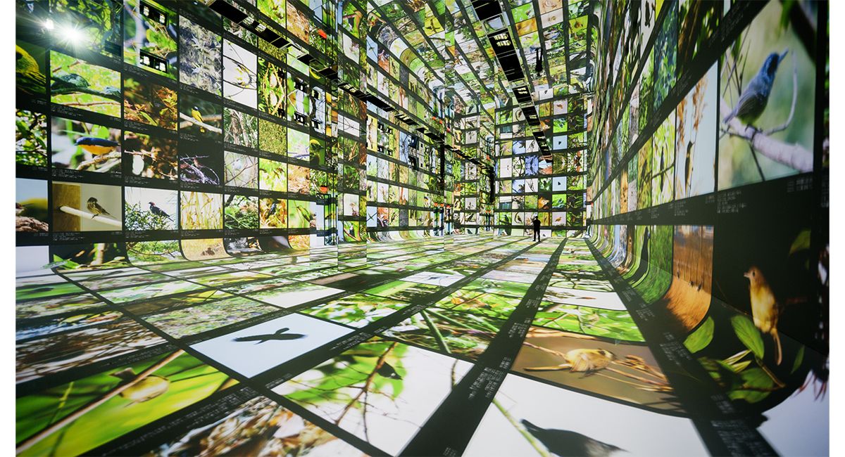 Immersive AI art at DATALAND AI art museum