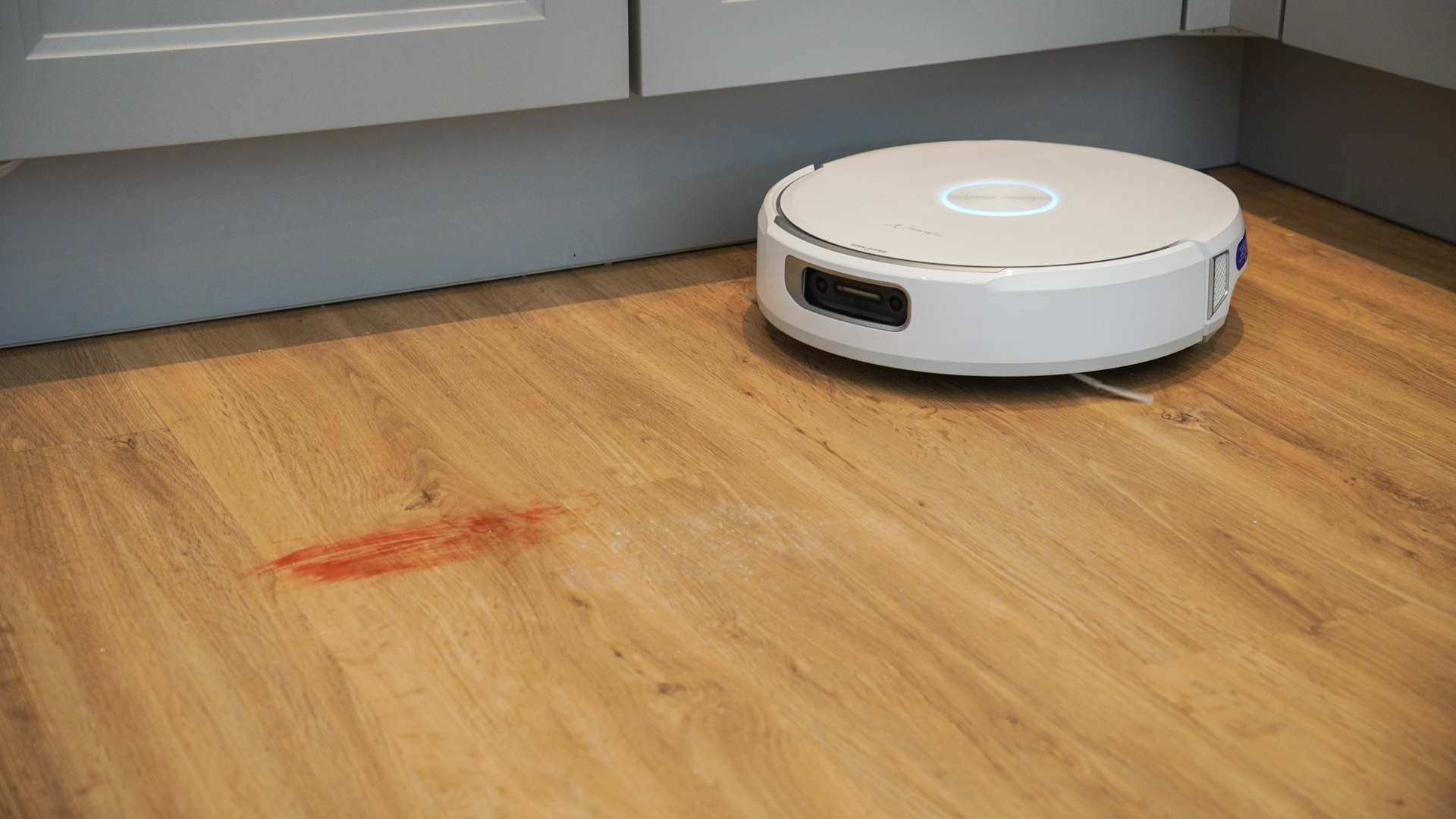 Water and ketchup on a hard floor, ready for the mopping test