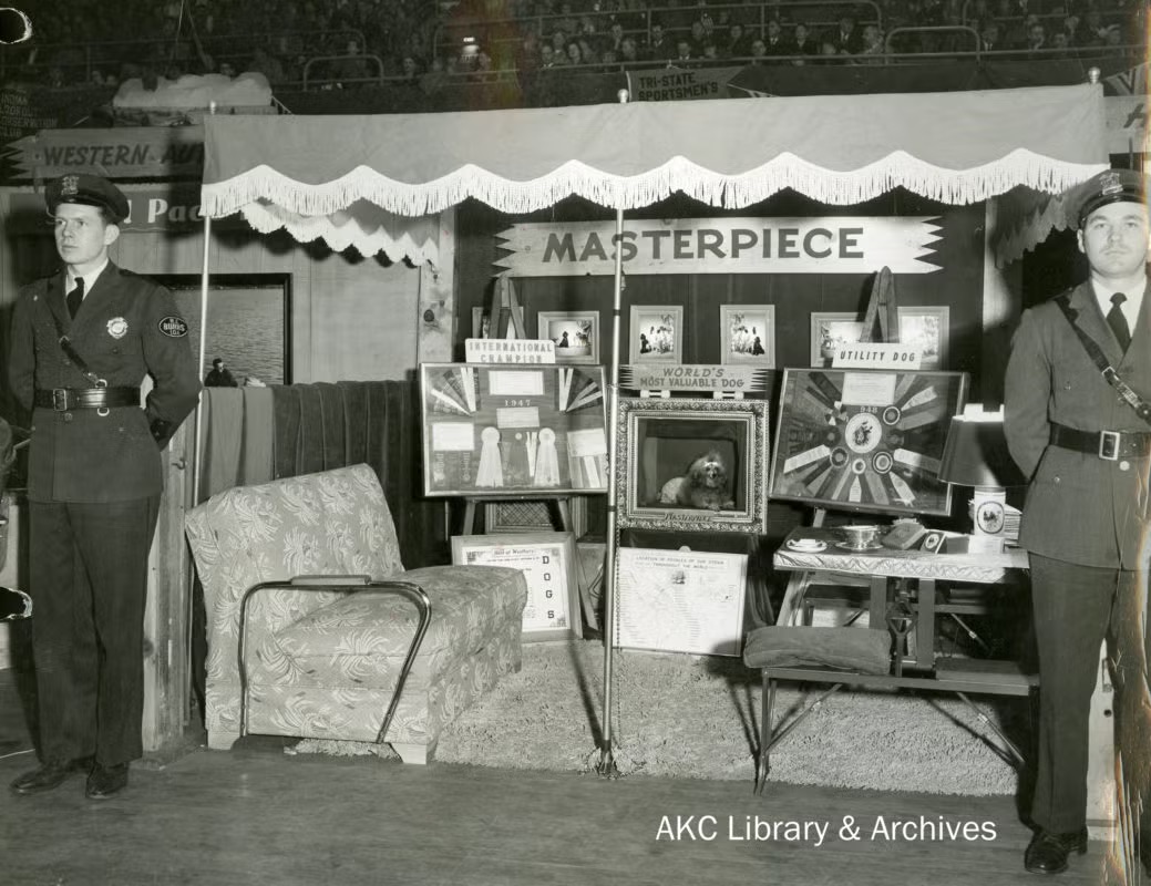 Vintage display dedicated to Masterpiece, the famous toy poodle, featuring trophies, photographs, ribbons and a framed portrait, guarded by two uniformed attendants.