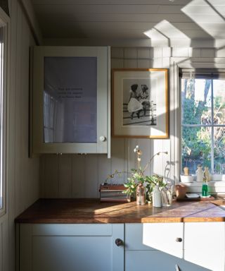 Farrow & Ball painted kitchen