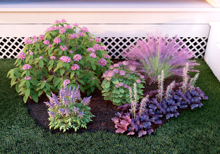 An arrangement of pink flowering plants