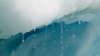 Ice melts on an iceberg on the coast of Greenland.
