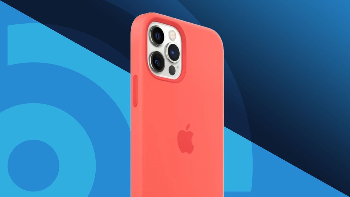 The Best iPhone 12 Pro Max Cases in 2024